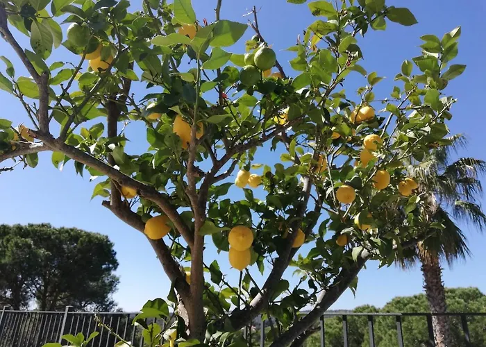 Galicia Semesterbostad Lloret de Mar