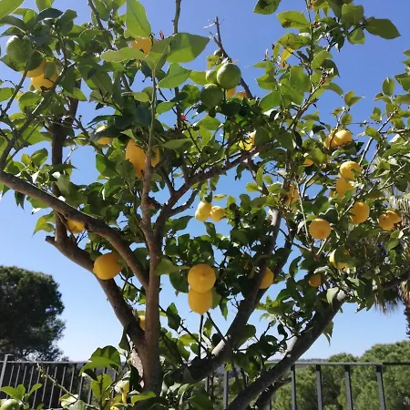 Galicia Будинок відпочинку Льорет-де-Мар