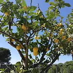 Galicia Hébergement de vacances Lloret de Mar